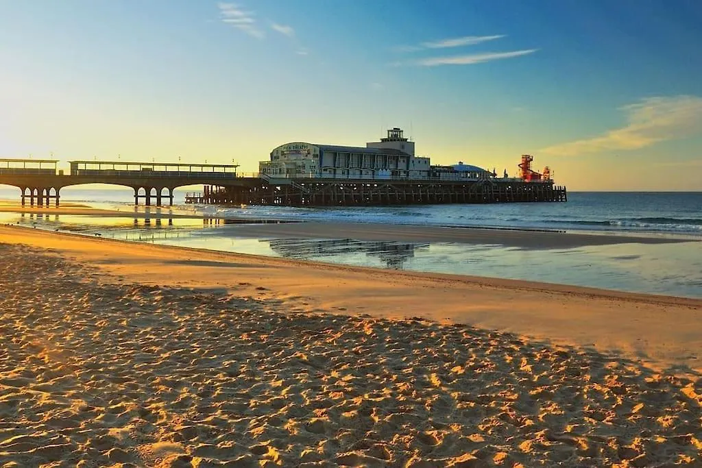 1 Bedroom Apartment In Bournemouth, Free Parking  Bournemouth
